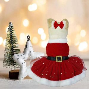 Hondenkleding Charmante huisdierrok Feestelijke jurk Shiny Mesh Glitter Santa -kostuum met haarband gemakkelijk te dragen voor kerstpos