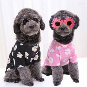 Vêtements de chien Chemise Chien Pour Vêtements pour Sphynx Hondenshirt Ropa Verano Perros Summer Short Sleeve Cat Blouse Costume