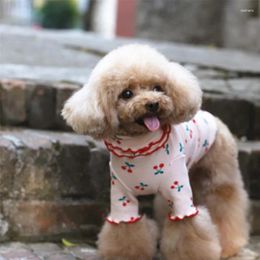 Vêtements pour chiens vêtements à motifs de cerise en peluche en peluche