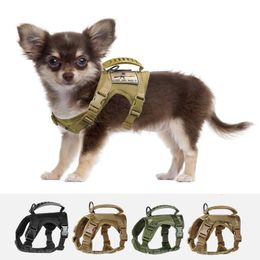 Hondenkleding Chihuahua Doek Klein Tactisch Vest Trainingsharnas xs Buitenwerken Verstelbaar Militair MOLLE met rubberen handvat 230901