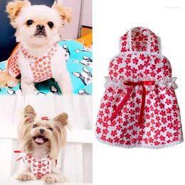 Hondenkleding Chihuahua Jurk Kat Puppy Kleine kleding Rok Dwergpinscher Yorkshire Pommeren Poedel Bichon Kleding Huisdierkostuum