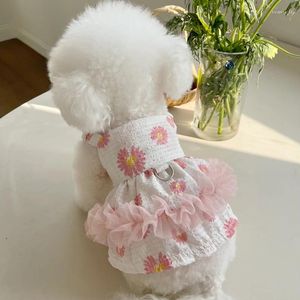 Vêtements de chien chihuahua robe fille jupe d'été vêtements de compagnie yorkyie pomeranian shih tzu maltais caniche bichon schnauzer vêtements