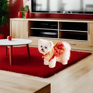 Vêtements pour chiens Chinois Année Costume Chaud Tang Pet Manteau d'hiver pour chats Bichon Petits chiens Cadeaux Fête à thème