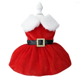 Vêtements pour chiens Robes de Noël pour petits chiens Vêtements de Noël Dress Up Costume Gold Velvet Pet Chihuahua Chiot Ropa de Perro