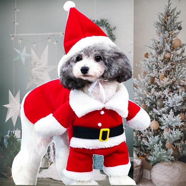Vêtements pour chiens Vêtements de Noël pour chiens Costumes de chat pour animaux de compagnie pour petits chiens Chapeaux de Père Noël rouges Habiller la fête de Noël Année Accessoires vestimentaires 231205