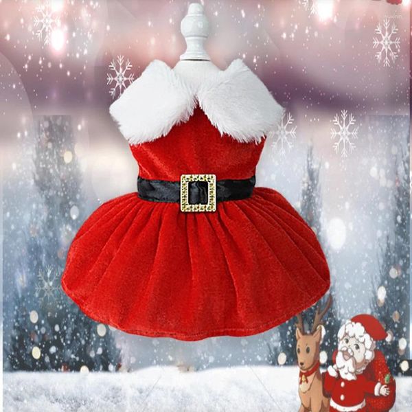 Robe de Noël de vêtements pour chiens jeu de rôle d'été chat animal fantaisie princesse bixiong costume
