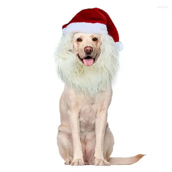 Vêtements de chien chapeau de Noël moyen grand grand cap novateur