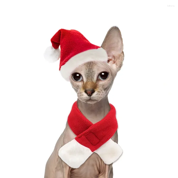 Vêtements de chien Costume de chat de Noël pour animaux de compagnie Petit chapeau de Père Noël avec écharpe Kitty Noël Outfit Claus Set pour chaton chiot