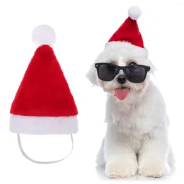 Abbigliamento per cani Articoli per animali domestici di Natale Cappello per gattini Abbigliamento per gatti Accessori per costumi Cappelli regolabili per gatti di Babbo Natale Animali domestici Cani