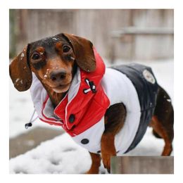 Vêtements pour chiens Classicwork Designer Pet Coats Ins Fashion Épaissir Bldog Veste Hiver Chaud Personnalité Teddy Outerwears Drop Delivery H Dh9Ci