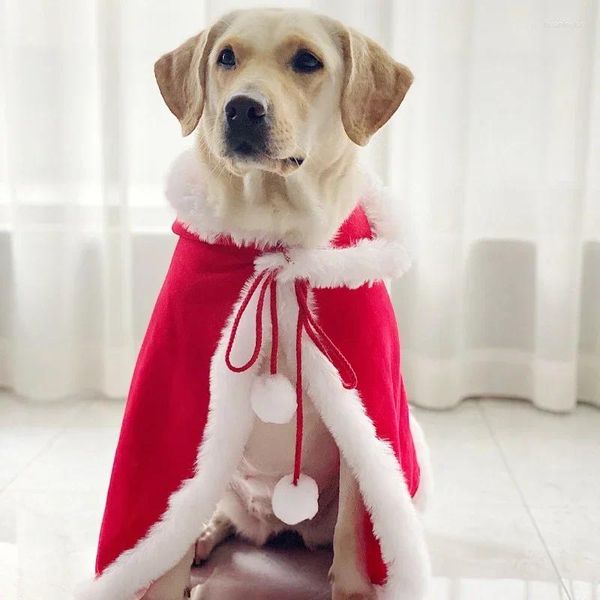 Vêtements pour chiens Cape Costume de Noël pour animaux de compagnie pour chiens de taille moyenne Trench Samoyed Husky Labrador Big Cape Accessoires