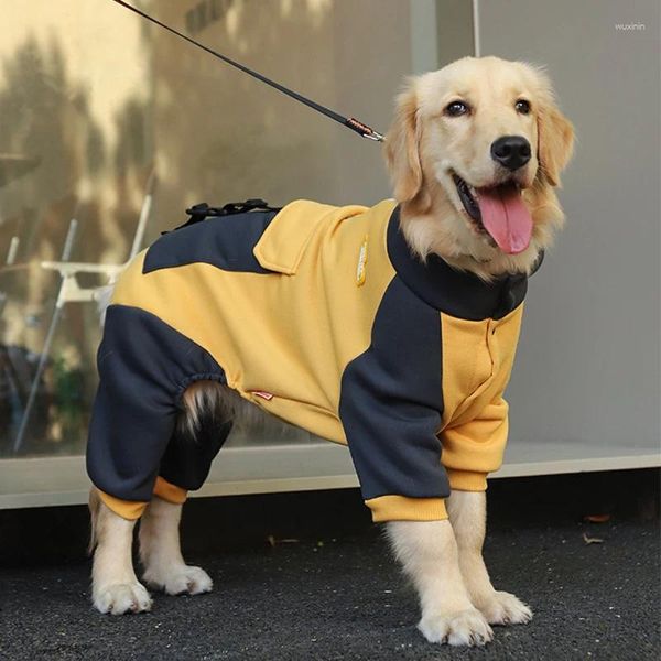 Ropa de vestimenta de perros de otoño y invierno de perros grandes de tamaño mediano Pet Modelos de primavera Grandes suéter de cuatro patas