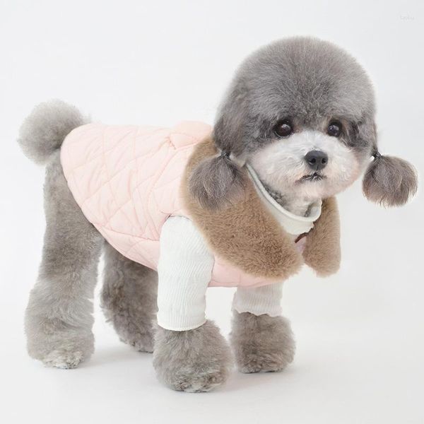 Ropa de vestimenta de perros ropa de mascota otoño e invierno vestido de algodón de algodón prenda de gato cálido disfraz de peluche