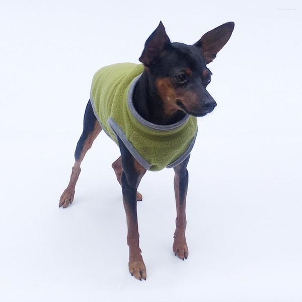 Chien vêtements vêtements automne hiver à capuche modèles de pull polaire léger chaleur épais bouton ouvert chiot pour animaux de compagnie