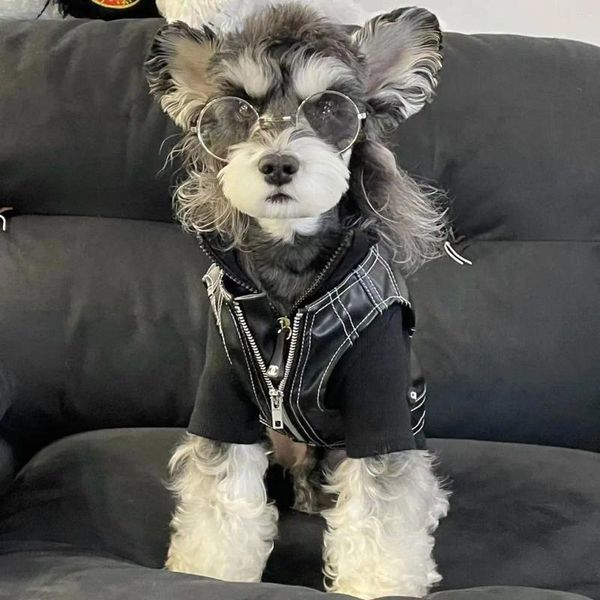 Ropa para perros Ropa Cool Motocicleta Abrigo Chaleco Chaqueta Schneider Teddy Shiba Frise West Highland Chalecos malteses