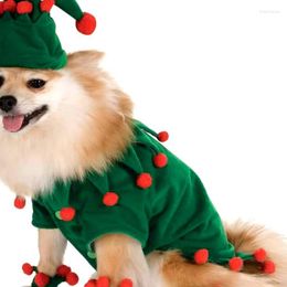 Hondenkledingkleding voor kerstfee -kostuums Cat Role Play kan worden gedragen gedurende het seizoen nieuwste mode schattig special