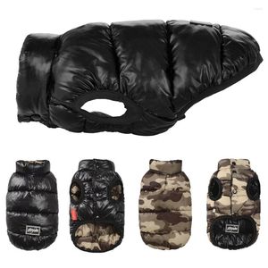 Vêtements de chien vêtements pour petits chiens hiver chaud gilet veste réversible léger imperméable chiot animal de compagnie teckel Yorkshire costume