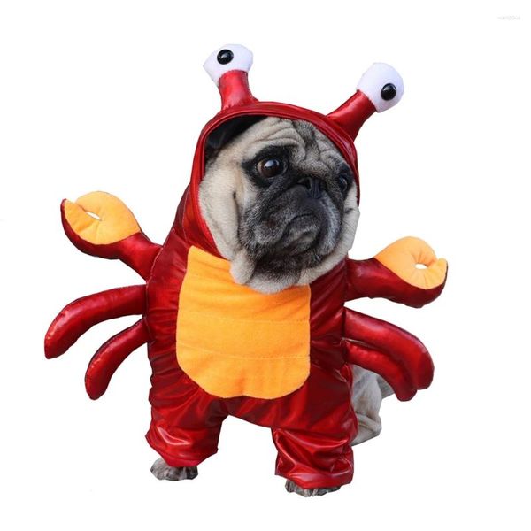 Vêtements pour chiens Halloween drôle animal de compagnie Costume de crabe rouge mignon Cosplay événements spéciaux tenue Costumes ensembles de vêtements