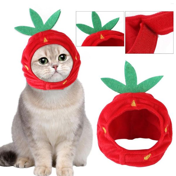 Chien vêtements vêtements chapeaux oreilles pour animaux de compagnie couverture d'oreille chaude Protection contre le bruit tête enveloppement drôle chat chapeau fraise chiot