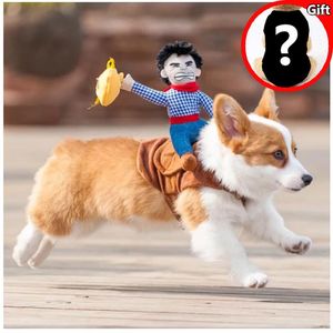 Chien vêtements vêtements équipement d'équitation robe Halloween drôle petit manteau de taille moyenne accessoire de jeu de rôle cadeau fournitures pour animaux de compagnie