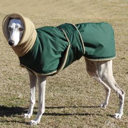Vêtements pour chien veste d'hiver veste italien Greyhound Tenues de Noël pour chiens manteaux et pulls