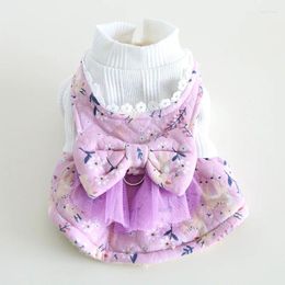 Vêtements pour chiens vêtements d'hiver robe animale princesse costume yorkshire terrier maltais poméranian poardle schnauzer vêtements vêtements