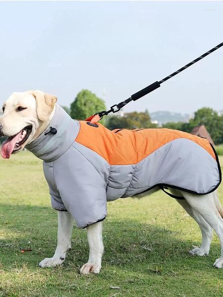 Vêtements pour chien vestime automne d'hiver mi-taille grande