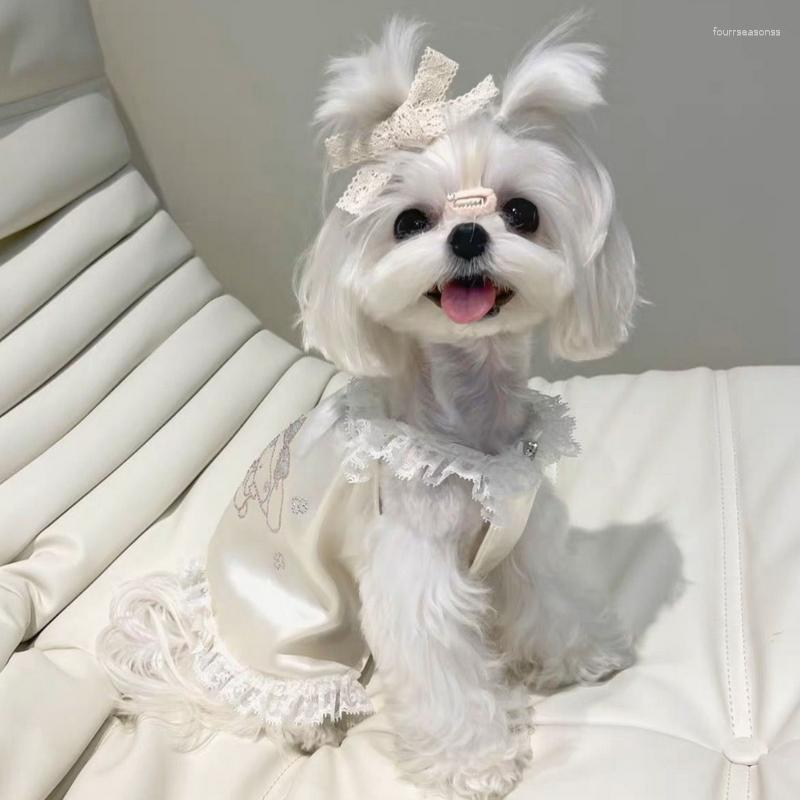 Ropa para perros Ropa para el hogar Crema Vestido de encaje blanco Vestido lindo Patrón de niña Pijamas Pequeña y mediana mascota