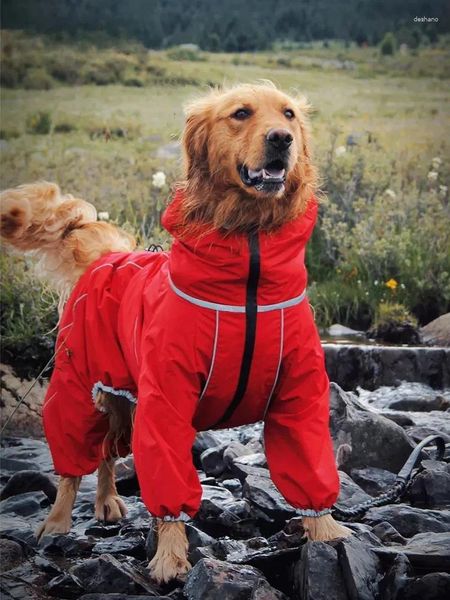 Ropa de ropa para perros mascota de otoño e invierno labrador pelaje dorado a mediano a grande recubrimiento de impermeable al aire libre cuatro piernas