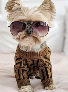 Hondenkleding Clsassic Pet Coat Luxurys Designers Merk Dog Apparel Letters Designer Cute Puppy Sweaters Kwaliteit Groothandel