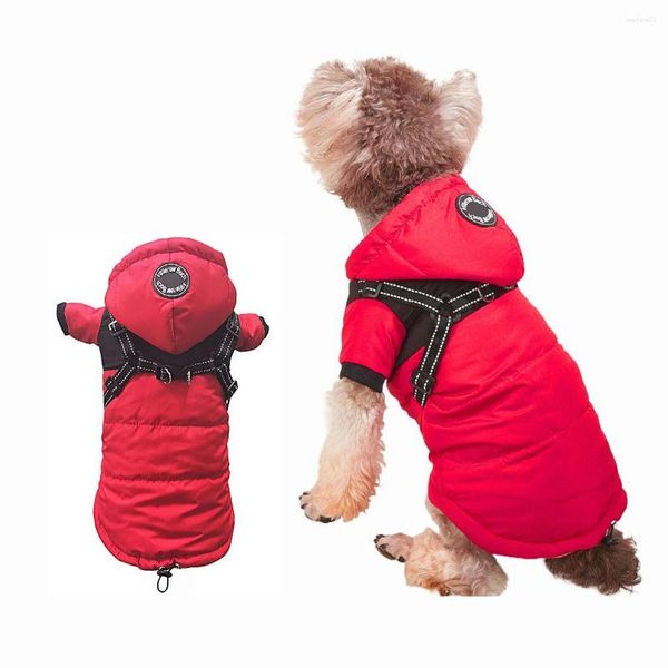 Vêtements pour chiens Manteau Vêtements pour animaux de compagnie Traction One Imperméable et chaud Combat Teddy Down Automne Hiver CN (origine)