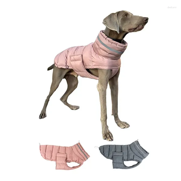 Veste de vêtements pour chiens Veste d'hiver étanche avec une laisse Viete chaude pour les gros chiens Bordeaux de protection de poitrine Clothing Pet Taded