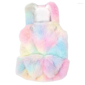 Vêtements pour chiens robe colorée hiver jupe chiot chihuahua yorkshire terriers maltese shih tzu pomeranian bichon poodle animal de compagnie