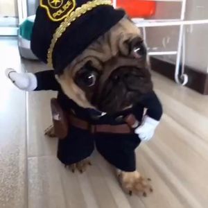 Vêtements pour chiens vêtements confortables pour animaux de compagnie ensemble de costumes drôles pour les fêtes de noël d'halloween tenues comiques avec perruque chiens météo