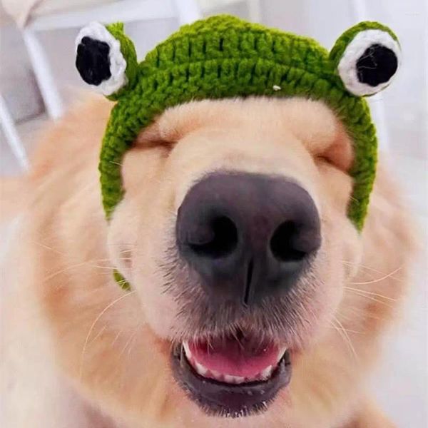 Ropa para perros Cómodo sombrero para mascotas tejido a mano 3D Rana Decoración de ojos Lindo sombrero para otoño invierno Pequeños suministros para gatos de dibujos animados