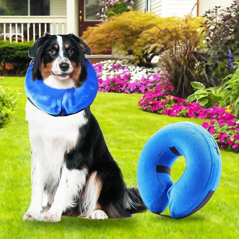 Recuperação de coleira de cone de vestuário para cães após ajustável elisabetano pequeno/médio/grande e gatos para morder