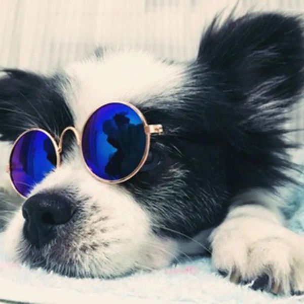 Ropa para perros gafas de gafas de mascotas frescas tendencia a la moda de gato de cachorro gafas de sol ojo