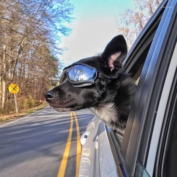 Ropa para perros Gafas de sol frescas Protección UV Gafas a prueba de viento Ropa de ojos para mascotas Accesorios de patinaje de natación