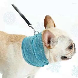Appareils à chien refroidissement Bandana Collar Scarf Colers Enveloppez Ice Pet 87ha