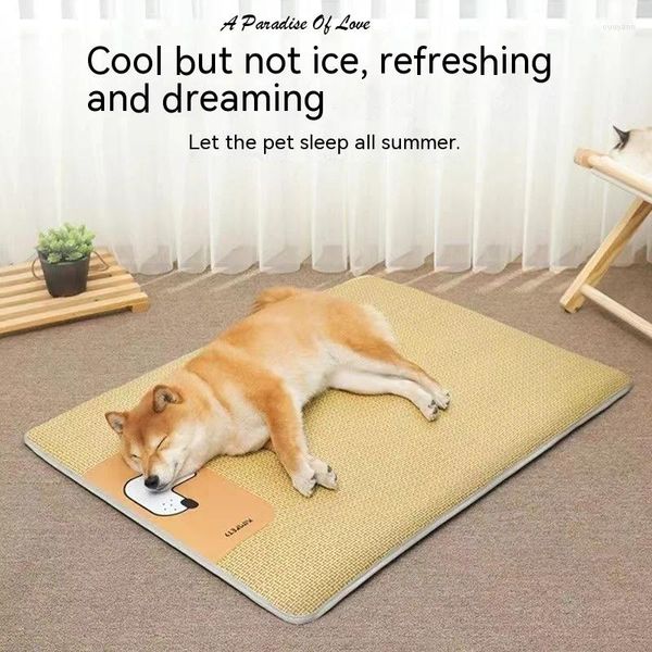 Association de vêtements pour chiens Sleeping Sleepable Amovable and Washable Litter Mat Anti Mice Puppy Bed Accessoires pour chiens Produits pour animaux de compagnie