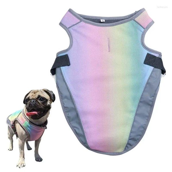 Vêtements pour chien refroidissement gilet pour animaux de compagnie houllon