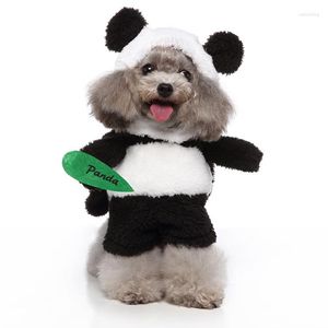 Ropa para perros, traje de Cosplay, gato, Panda divertido, mercenario, Killer Coon, pirata, vaquero, vestido de pie, gatito, cachorro, ropa para mascotas pequeñas