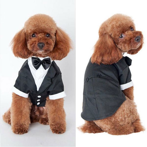 Chien Vêtements Costume Chat Prince Mariage Mignon Gentleman Cachorro Mascotte Chihuahua Tailcoat Bowknot Manteau Taille 5 Pet Supplies 230616