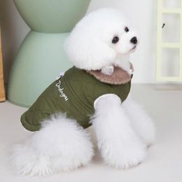 Chien Vêtements Costume Pet Manteau D'hiver Col Rabattu Contraste Couleurs Deux Jambes Chat Gilet Chic Pour La Maison