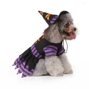 Costume de vêtements pour chiens Small chiens en tissu de fête Costumes à capuche Costumes Puppies Vêtements Halloween Pet Accessoires