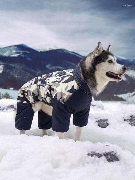 Vêtements pour chiens Vêtements en coton de grande et moyenne taille Alaska Samor Labrador Automne Hiver Pet Plus Velvet épais à quatre pattes chaud