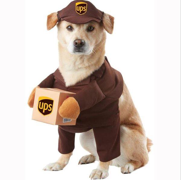 Ropa para perros, sombrero de Cosplay de mensajería, abrigo divertido para gatos y mascotas, juego de rol, paquete exprés, traje de pirata, ropa de Halloween