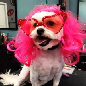 Appareils pour chiens Cozy Headgear Colored Wig Headress Accessoires Pet avec une bande élastique PO COMPTES COMPTS pour Noël