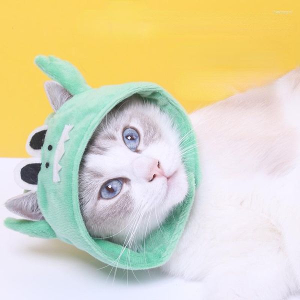 Vêtements pour chiens Série Crocodile Couvre-chef pour animaux de compagnie Design mignon Chapeau de chat japonais et coréen Fournitures pour chiots