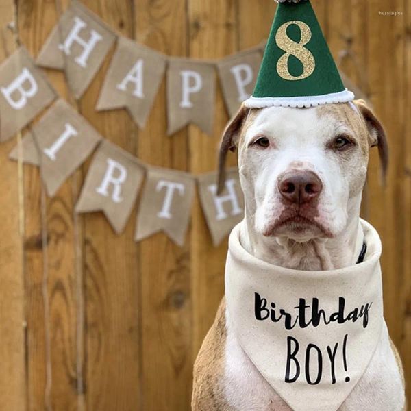 Ropa de perros Cama Bandana Bandana Bandana Boy Boy es mi primer gato de mascota de cachorra de primera fiesta de un año